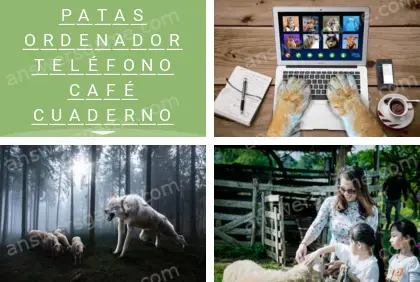 Polisílabo (Polysyllable) Nivel 10 Puzzle 7 Solución