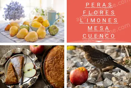 Polisílabo (Polysyllable) Nivel 10 Puzzle 10 Solución