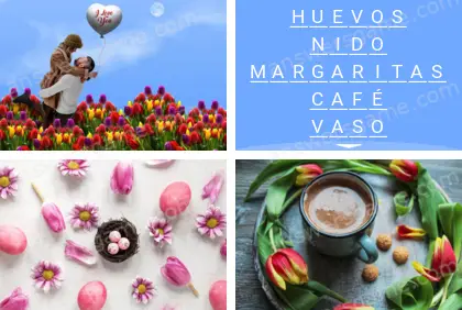 Polisílabo (Polysyllable) Nivel 10 Puzzle 8 Solución