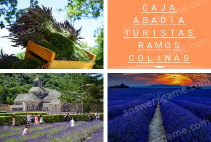 Polisílabo (Polysyllable) Nivel 11 Puzzle 5 Solución