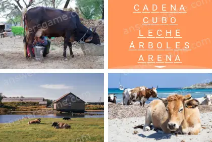 Polisílabo (Polysyllable) Nivel 11 Puzzle 6 Solución