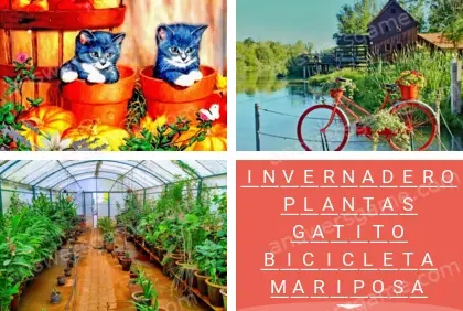 Polisílabo (Polysyllable) Nivel 1 Puzzle 4 Solución