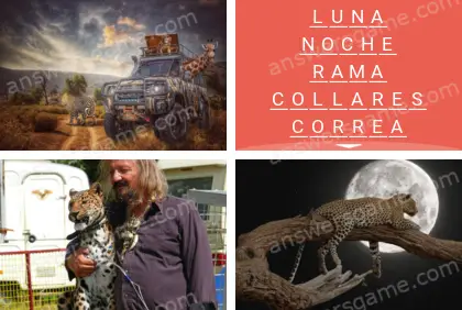 Polisílabo (Polysyllable) Nivel 15 Puzzle 8 Solución