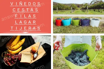 Polisílabo (Polysyllable) Nivel 15 Puzzle 5 Solución