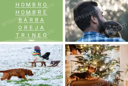 Polisílabo (Polysyllable) Nivel 17 Puzzle 7 Solución