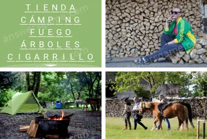 Polisílabo (Polysyllable) Nivel 18 Puzzle 9 Solución