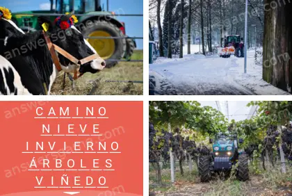 Polisílabo (Polysyllable) Nivel 19 Puzzle 3 Solución