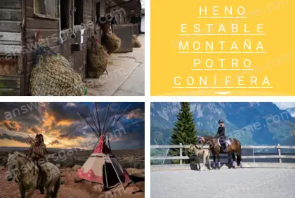 Polisílabo (Polysyllable) Nivel 20 Puzzle 7 Solución