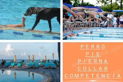 Polisílabo (Polysyllable) Nivel 21 Puzzle 3 Solución