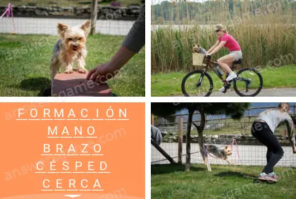 Polisílabo (Polysyllable) Nivel 22 Puzzle 8 Solución