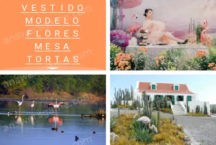 Polisílabo (Polysyllable) Nivel 22 Puzzle 3 Solución