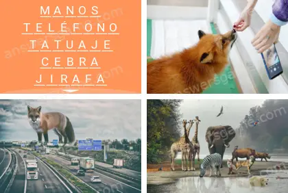 Polisílabo (Polysyllable) Nivel 8 Puzzle 4 Solución