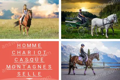 Polysyllable Niveau 10 Puzzle 4 Solution