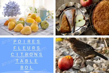 Polysyllable Niveau 10 Puzzle 10 Solution