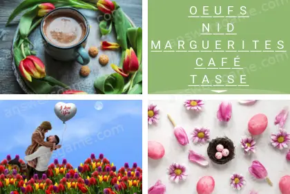 Polysyllable Niveau 10 Puzzle 8 Solution