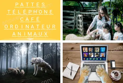 Polysyllable Niveau 10 Puzzle 7 Solution