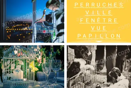 Polysyllable Niveau 10 Puzzle 3 Solution