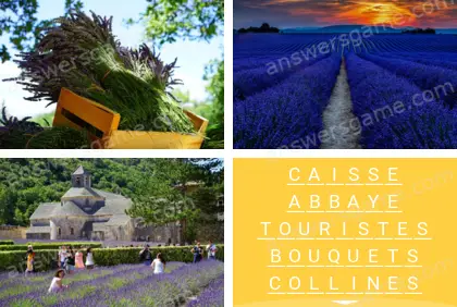 Polysyllable Niveau 11 Puzzle 5 Solution