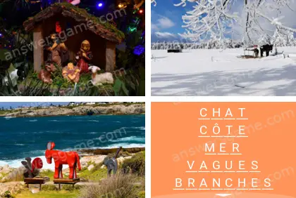 Polysyllable Niveau 12 Puzzle 9 Solution