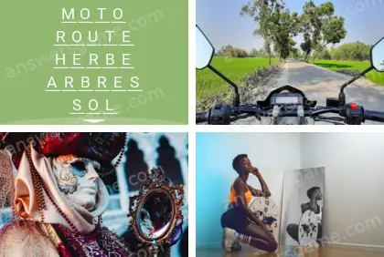 Polysyllable Niveau 13 Puzzle 5 Solution