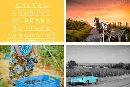 Polysyllable Niveau 14 Puzzle 4 Solution