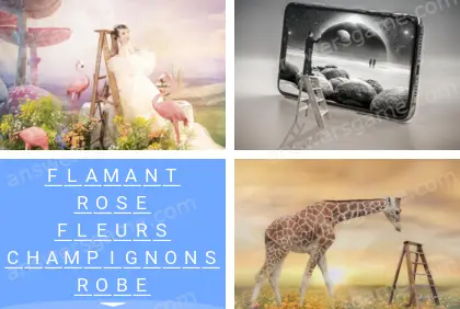 Polysyllable Niveau 14 Puzzle 2 Solution