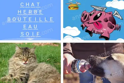 Polysyllable Niveau 14 Puzzle 10 Solution