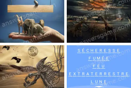 Polysyllable Niveau 14 Puzzle 7 Solution