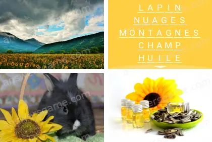 Polysyllable Niveau 1 Puzzle 1 Solution