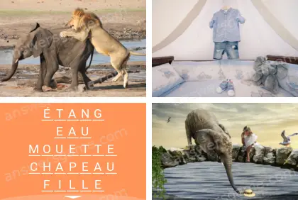 Polysyllable Niveau 15 Puzzle 6 Solution