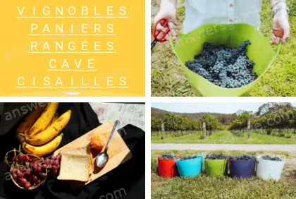 Polysyllable Niveau 15 Puzzle 5 Solution