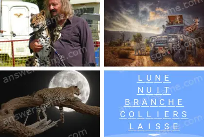 Polysyllable Niveau 15 Puzzle 8 Solution