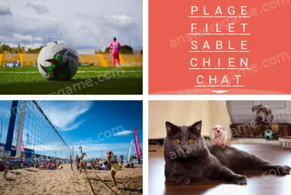 Polysyllable Niveau 15 Puzzle 7 Solution