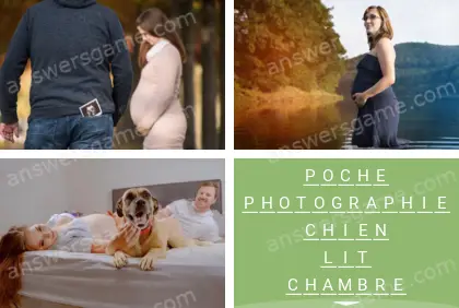 Polysyllable Niveau 15 Puzzle 4 Solution