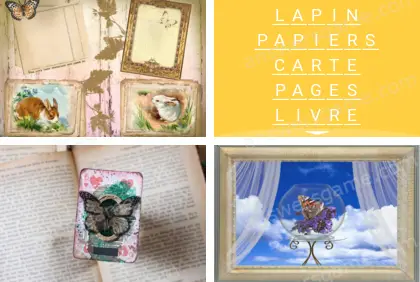 Polysyllable Niveau 16 Puzzle 3 Solution