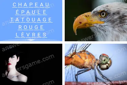 Polysyllable Niveau 17 Puzzle 10 Solution