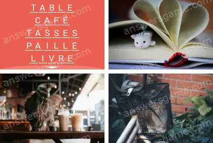 Polysyllable Niveau 17 Puzzle 4 Solution