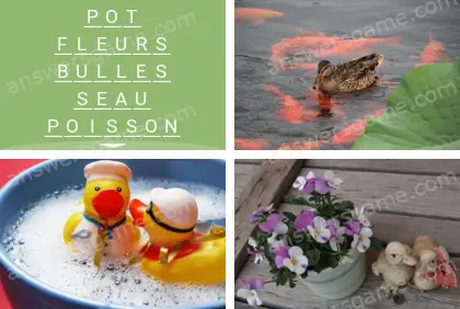 Polysyllable Niveau 1 Puzzle 8 Solution