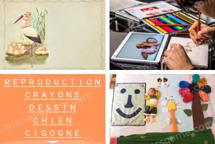 Polysyllable Niveau 17 Puzzle 6 Solution