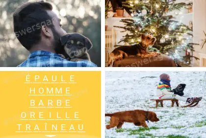 Polysyllable Niveau 17 Puzzle 7 Solution