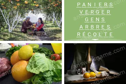 Polysyllable Niveau 17 Puzzle 9 Solution