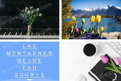 Polysyllable Niveau 18 Puzzle 1 Solution