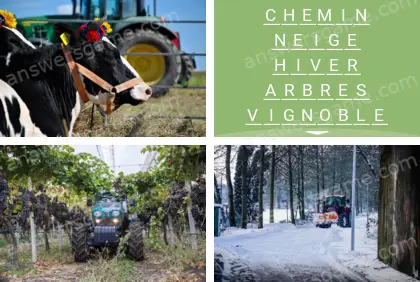 Polysyllable Niveau 19 Puzzle 3 Solution