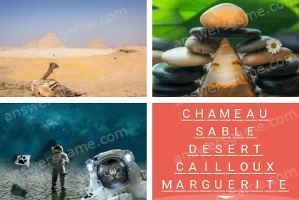 Polysyllable Niveau 19 Puzzle 5 Solution