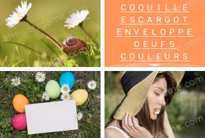 Polysyllable Niveau 19 Puzzle 4 Solution