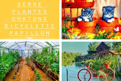 Polysyllable Niveau 1 Puzzle 4 Solution