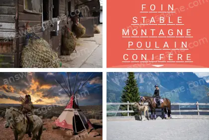 Polysyllable Niveau 20 Puzzle 7 Solution