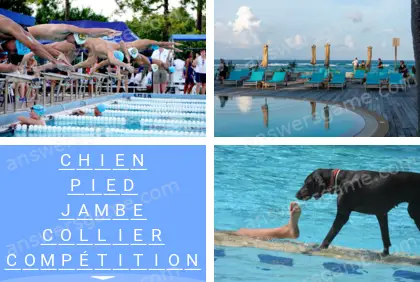 Polysyllable Niveau 21 Puzzle 3 Solution