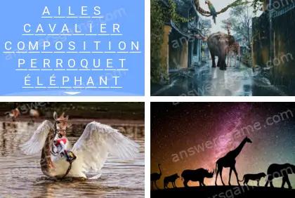 Polysyllable Niveau 22 Puzzle 10 Solution