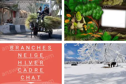 Polysyllable Niveau 22 Puzzle 9 Solution